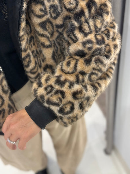 PAYTON JACKET